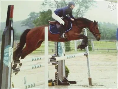 Parmi ces obstacles, lesquels sont des larges ?