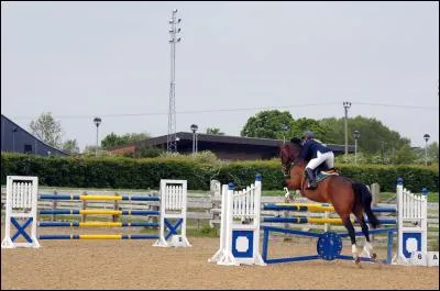 Dans un "saut de puce" combien y-a-t-il de m&egrave;tres ? ( au galop)