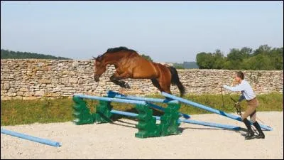 Pour longer un cheval, le cercle doit &ecirc;tre :