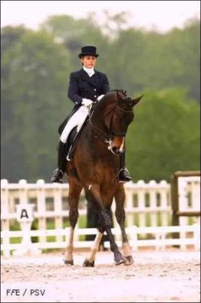 Que fait ce cheval ?