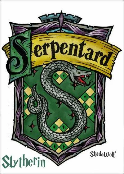 Qui est le professeur de la maison Serpentard ?