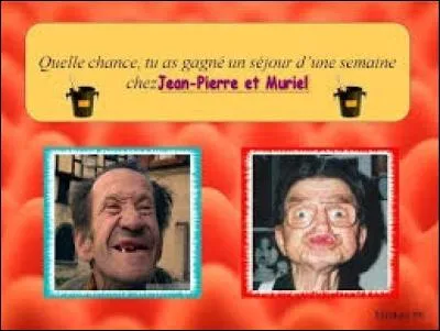 Quasiment comparable à un hôtel, ce lieu propose la nuitée, repas et certaines prestations selon les cas, aux touristes et vacanciers de passage. Exclusivement située chez l'habitant, il s'agit de :