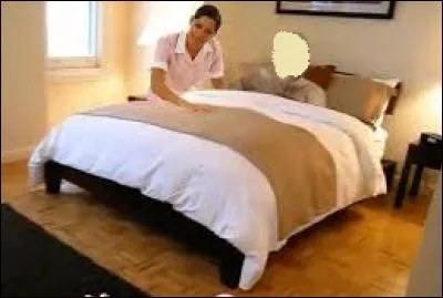 En mai 2011, un homme politique se voit accuser d'agression sexuelle sur une femme de chambre, dans la suite 2806 de l'hôtel Sofitel à New York. Cliquez sur la photo du politicien incriminé :