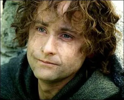 Toujours dans "Le Seigneur des anneaux", qui dit �Alors, en quoi consiste cette mission ? Qu&ecirc;te ? ... Chose ?� ?