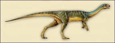 Un assemblage de Brachitrachelopan, T-Rex et tortue ? Même pas ! C'est un ...