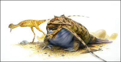 Elle mérite bien son nom de grenouille du diable. Un batracien d'un mètre pouvant manger quelques dinosaures. Comment s'apppelle-elle déjà ?