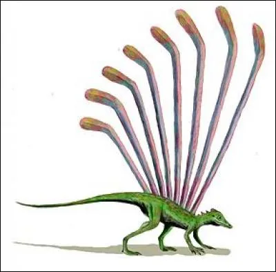 Ce lézard peut planer en penchant ses longues écailles. Il est fameux le ...