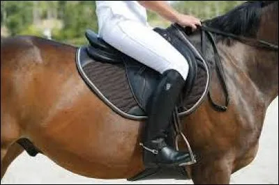 Quelle(s) est(sont) la(les) bonne(s) paire(s) de chaussures pour monter à cheval ?