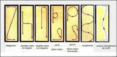 Quelle est la bonne figure de manège ?
