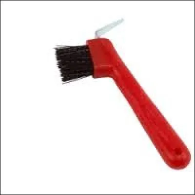 À quoi sert cette brosse (cure pied) ?