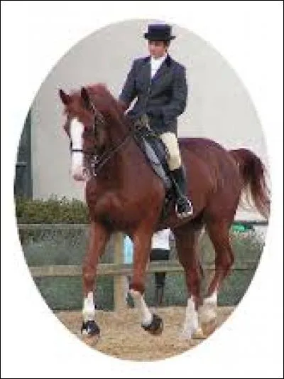 Quelles sont les aides naturelles dont on a besoin à cheval ?