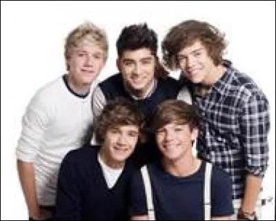 Liam Payne, Harry Styles, Zayn Malik, Niall Horan et Louis Tomlinson. Ces noms vous évoquent un truc, non ? "Story of My Life", "Kiss You" Des oeuvres d'art pour certains, du vomi pour d'autres. Eh oui, le rap, ce n'est pas du goût de tout le monde !