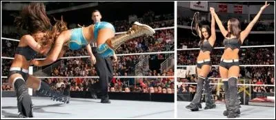 Contre qui Brie Bella a-t-elle gagné (championship) ?