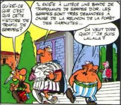 Dans l'album "La Serpe d'or", qui est le grand chef des trafiquants de serpes ?