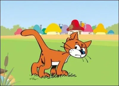 Retrouve la bonne image, qui correspond au chat !