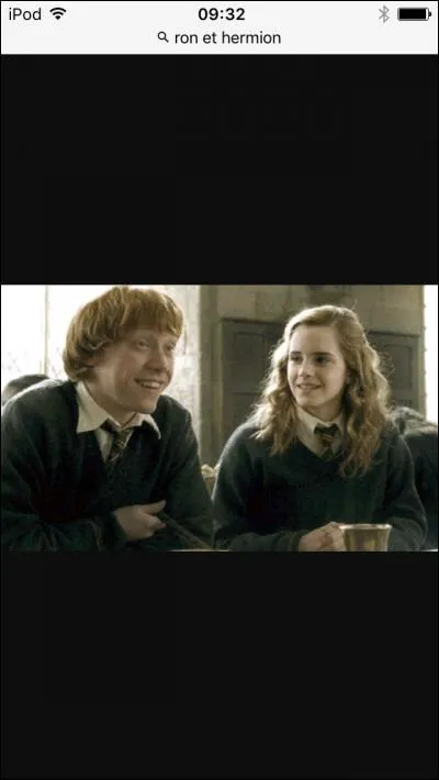 Comment les deux amis de Harry s'appellent-ils ?