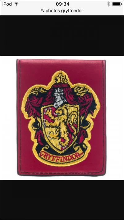 Dans quelle maison Harry se retrouve-t-il ?