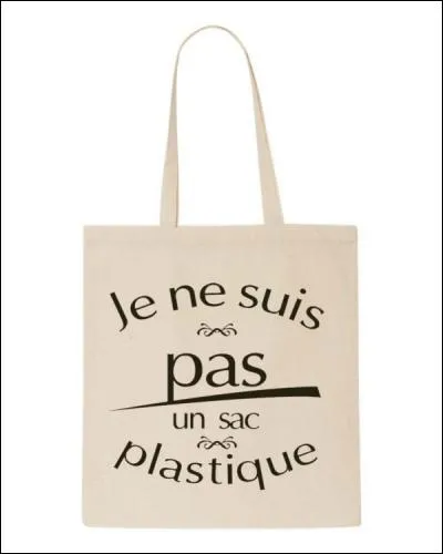En quelle année la loi visant l'interdiction de la distribution des sacs en plastiques à usage unique est-elle rentrée en vigueur ?