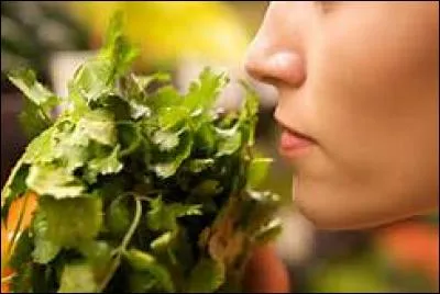 Comment dit-on « sentir » ?