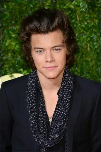 Avec qui Harry est-il sorti pendant un bon moment ?