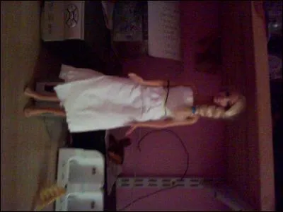 Quelle est la coiffure de cette poupée Barbie?