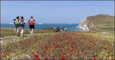Dans quel département français situez-vous les caps Gris-Nez et Blanc-Nez ?