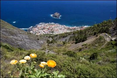 Dans quel pays se situe le volcan appelé "Montaña Negra" dont une éruption détruisit, en 1706, la ville de Garachico, alors important port de commerce ?