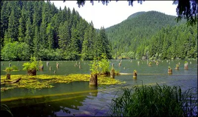 Quel pays d'Europe de l'Est abrite le lac Rouge et son imposant barrage ?