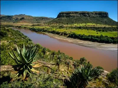 Quel pays est traversé par le fleuve Orange ?
