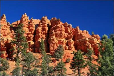 Dans quel État des États-Unis pourrez-vous admirer les superbes formations géologiques de Red Canyon ?