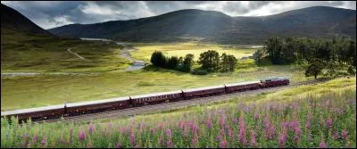Sans doute l'un des trains mythiques les plus connus, "le Royal Scotsman", une ballade inoubliable, bien sûr, mais combien de personnes peut-il prendre à bord au maximum ?