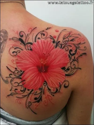 Voici un beau tatouage sur...