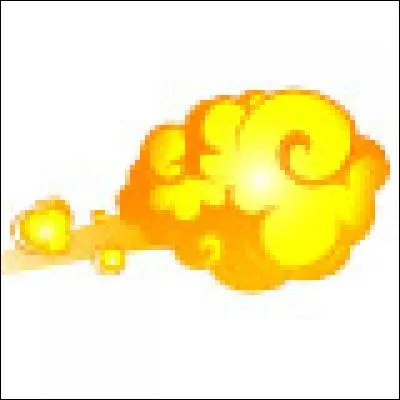 Comment s'appelle cette monture ?