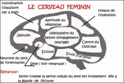 La femme veut toujours changer l'homme, l'homme ...