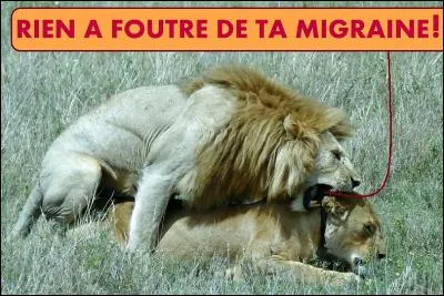 Je sais que pour une femme, c'est difficile de rendre un homme heureux, mais si c'est trop dur ...