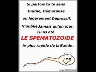 Le seul amour fidèle, c'est ...