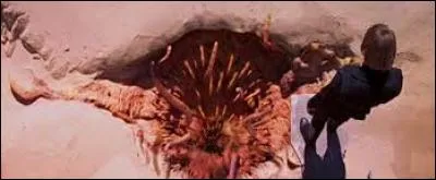 Quelle est cette créature connue comme la plus ancienne habitante du désert ?