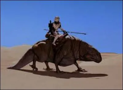 Quel est ce grand reptile originaire de Tatooine, pouvant être apprivoisé ?