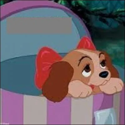 À quelle occasion Jim offre à sa femme Darling en cadeau une chienne cocker spaniel anglais qui sera baptisée Lady ?