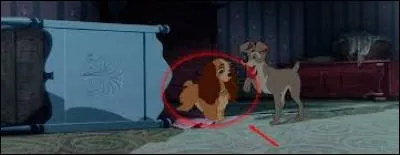 Le rat fini par être tué dans la chambre du bébé. Qui l'a tué ?