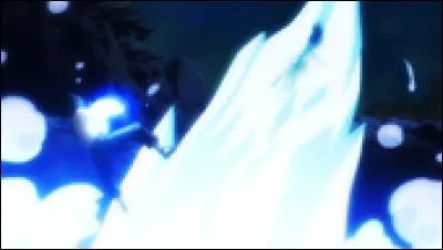 Comment s'appelle cette attaque ?