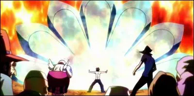 Comment s'appelle cette technique ?