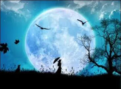 Quel animal de la forêt hurle à la pleine lune ?