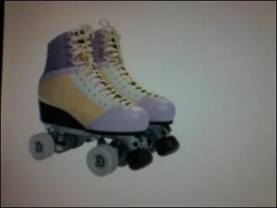 &Agrave; qui appartiennent ses rollers ?