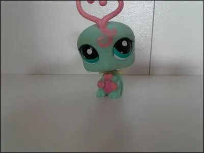 Quelle est la race de ce LPS ?