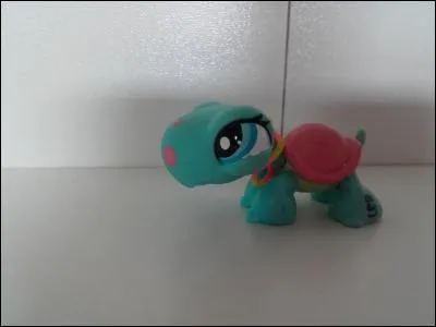 Quelle est la race de ce LPS ?