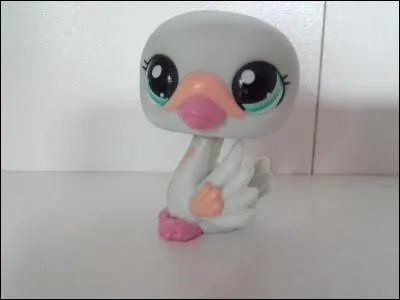 Quelle est la race de ce LPS ?