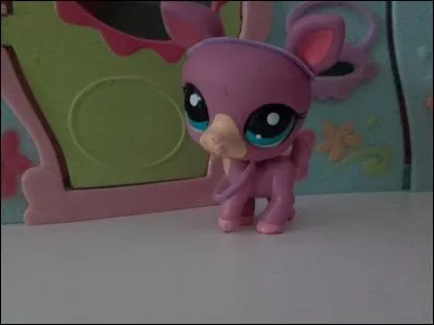 Quelle est la race de ce LPS ?