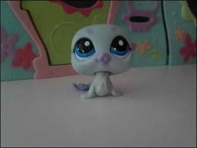 Quelle est la race de ce LPS ?