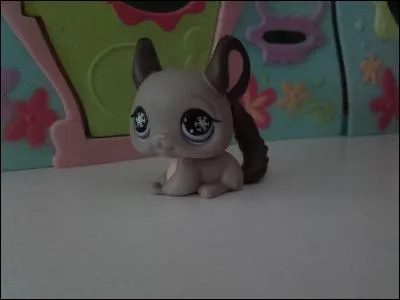 Quelle est la race de ce LPS ?